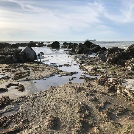 Zee Rust Ostende